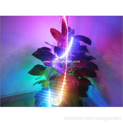 12mm  5050 30leds/m magic flexible rgb strip  with remote DC 12V